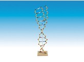 ORBIT ADN RNA - 079