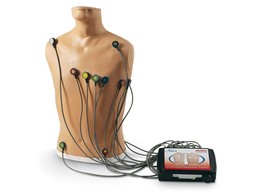 15-LEAD ECG PLACEMENT TRAINER