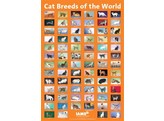 CAT BREEDS OF THE WORLD POSTER 100X70 CM