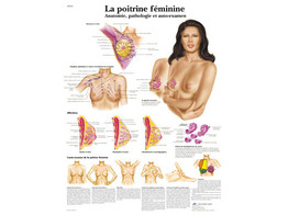 POSTER LA POITRINE FEMININE - ANATOMIE  PATHOLOGIE ET AUTO-EXAMEN - VR2556L