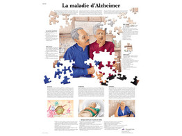 POSTER  LA MALADIE D ALZHEIMER - VR2628L