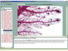CD-ROM Mikroaufnahmen  Zeichnungen und Begleitmaterial zur Schulserie A Nr. 500 mit Mikroaufnahmen  Zeichnungen und Begleitmaterial. .Neuerscheinung  mit 235 Bildern und Texten