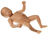  b Baby care manikins Somso  MS 56/57/58/59  /b 