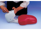 BASIC BUDDY CPR TORSO
