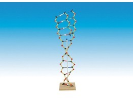ORBIT DNA-RNA KIT