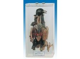 DUIF DISSECTIE