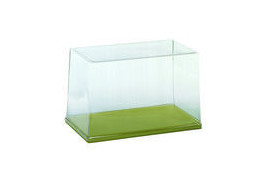TRANSPARENT DUSTPROOF COVER WITH GREEN BASE SUITABLE FOR THE ARTIFICIAL SOMSO  SKULLS
