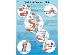 BASIC LIFE SUPPORT CHART -  ENGLISH  - VR1770L  1001616 