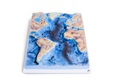 MID-ATLANTIC SPINE - U70020