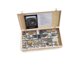 COLLECTION  GENERAL PALAEONTOLOGY  40 FOSSILS 