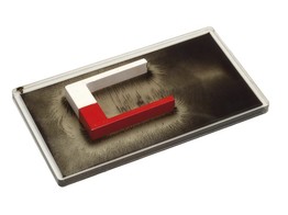 MAGNETIC FIELD PLATE WITH IRON FILINGS - 3396.20