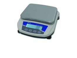BALANCE SERIE  5161  2000G / 0 1G