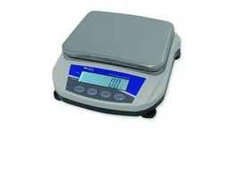 BALANCE SERIE 5162  1000G /  0 01G