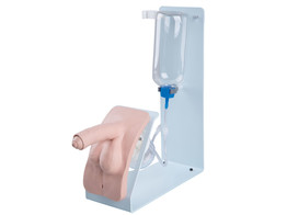 CATHETERIZATION SIMULATOR BASIC  MALE