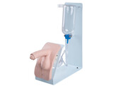 SIMULATEUR DE CATHETERISME BASIC  MASCULIN