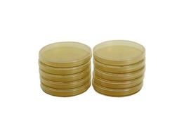 20 BOITES DE PETRI GELOSEES PCA - HYGIENE DES MAINS