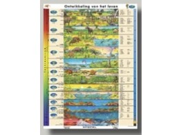 Cartes murales Histoire-tile-0