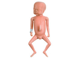  b Baby care dolls Somso  premature  /b 