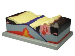 PLATE TECTONICS MODEL