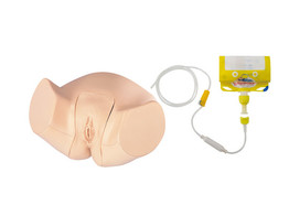 URETHRAL CATHETERIZATION MODEL- LM-061
