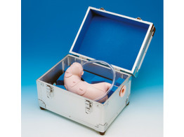 ESD   ENDOSCOPIC SUBMUCOSAL DISSECTION  TRAINING MODEL-LM-083