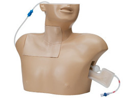 CENTRAL VENOUS PUNCTURE TRAINER- LM-090