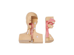 KOKEN TRACHEOSTOMY MANAGEMENT STIMULATOR - LM - 106