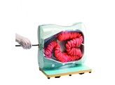 COLONOSCOPY   LOWER GI ENDOSCOPY  SIMULATOR TYPE II-LM-107