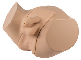  br/ SONDAGE URINAIRE MASCULIN br/ - KOKEN-LM109M