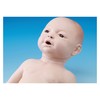 KOKEN -WESTERN FEATURES - BABY MALE-LM-082