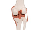 FUNCTIONAL KNEE JOINT - br/  A82  1000163 