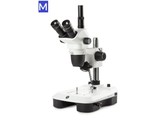  b Stereoscopes NexiusZoom EVO /b 