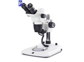  b Stereoscopes NexiusZoom EVO /b 