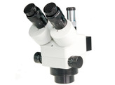  b Stereoscopes Z-Series  Heads  /b 