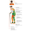 AGE SIMULATOR SET -KOKEN - LM60