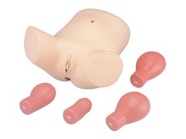 PUERPERAL UTERUS PALPATION TRAINING MODEL LM-055