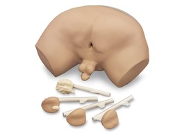 SIMULATEUR D EXAMEN DE LA PROSTATE-W44014