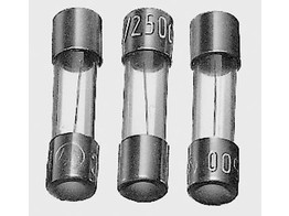Fusible f 0.63H  10 pieces  - PHYWE - 07503-60