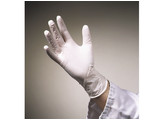 b Lab gloves  latex  /b 