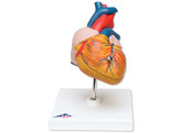 CLASSIC HEART  2 PART   G08  1017800 