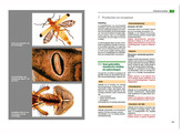 BOEK MICROSCOPIE ALS HOBBY - NIEUWE UITGAVE