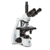  b Microscopes bScope /b 