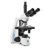  b Mikroskope bScope /b 