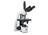  b Microscopes bScope /b 