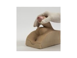 ZONE GENITALE MASCULINE - ENTRAINEMENT AU CATHETERISME / LAVEMENT