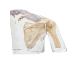 L EPAULE POUR RADIOGRAPHIE  TRANSPARENT