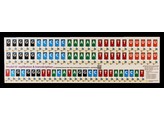 REPLICATIE EN TRANSCRIPTIE  MAGNETISCH MODEL
