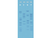 EINFUHRUNG IN DIE DNA-SEQUENZIERUNG - EDVOTEK-EXPERIMENT