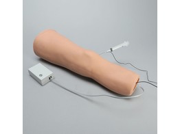 KNEE INJECTION MODEL