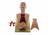  SICK BOY  MODELE BRONCHOSCOPIE